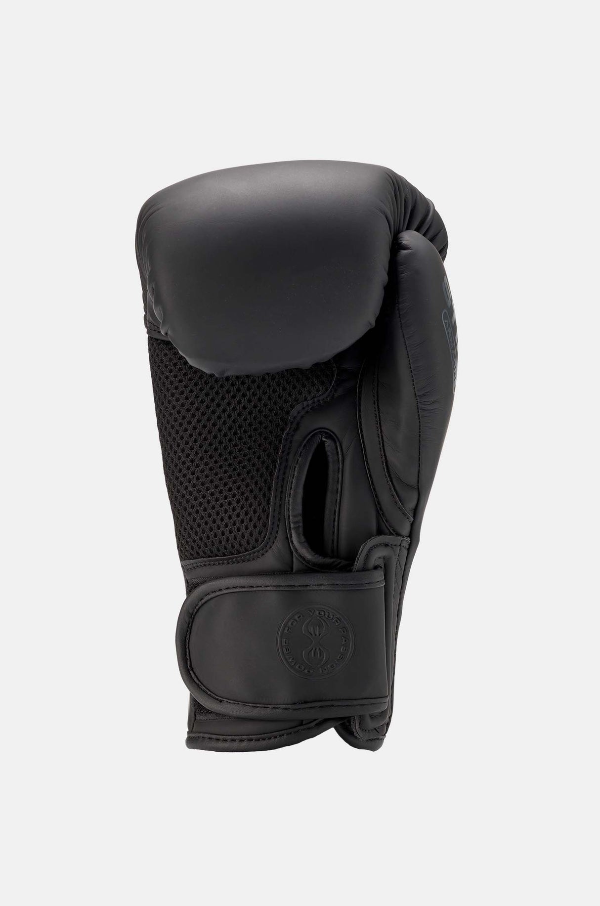 Sting Armaone Boxing Gloves - black, G10377