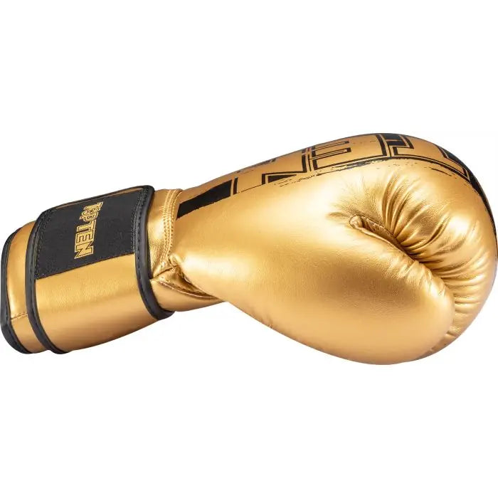 TOP TEN Boxing Gloves Power Ink Golden Star - gold/black, 22662-29