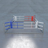 Free-Standing Training Ring, 905-0