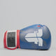 Gants de boxe Fighter SPEED - tricolore, TH1612PUBLR