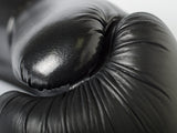 Paffen Sport Boxhandschuhe Black Logo - schwarz, 2143010