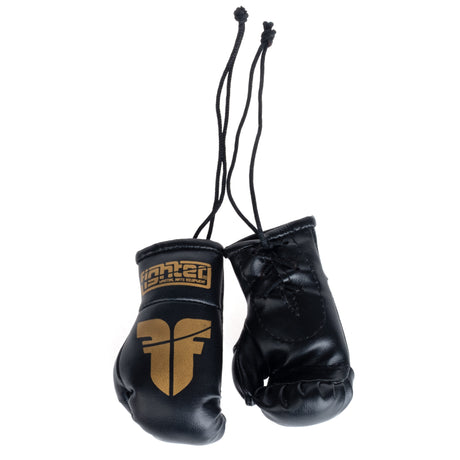 Fighter Mini Boxhandschuhe - schwarz/gold